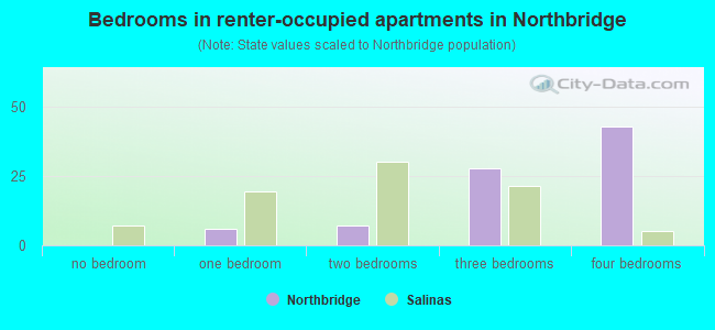 Bedrooms in renter-occupied apartments in Northbridge