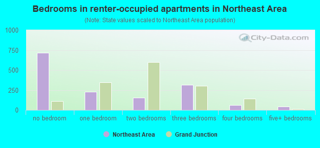 Bedrooms in renter-occupied apartments in Northeast Area