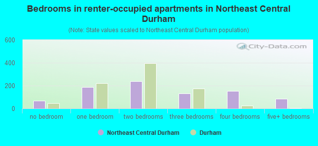 Bedrooms in renter-occupied apartments in Northeast Central Durham