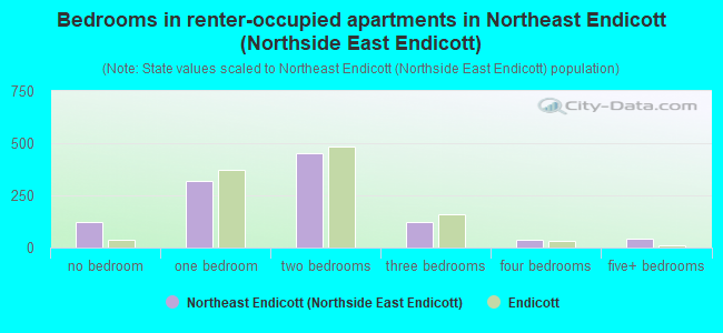 Bedrooms in renter-occupied apartments in Northeast Endicott (Northside East Endicott)