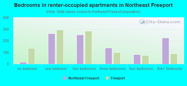 Bedrooms in renter-occupied apartments in Northeast Freeport