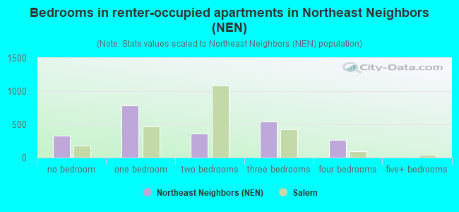Bedrooms in renter-occupied apartments in Northeast Neighbors (NEN)