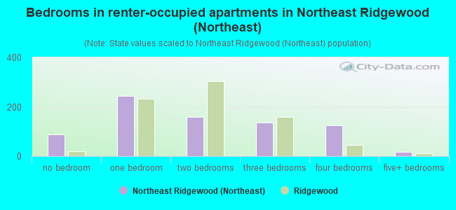 Bedrooms in renter-occupied apartments in Northeast Ridgewood (Northeast)