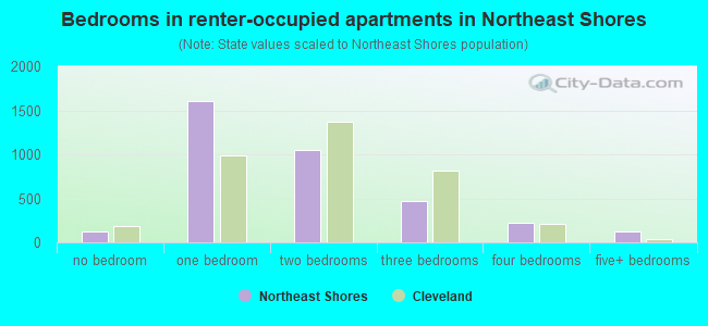 Bedrooms in renter-occupied apartments in Northeast Shores