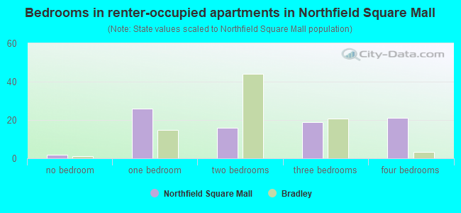 Bedrooms in renter-occupied apartments in Northfield Square Mall