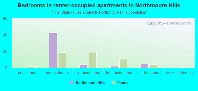 Bedrooms in renter-occupied apartments in Northmoore Hills