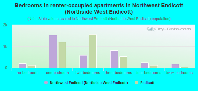 Bedrooms in renter-occupied apartments in Northwest Endicott (Northside West Endicott)