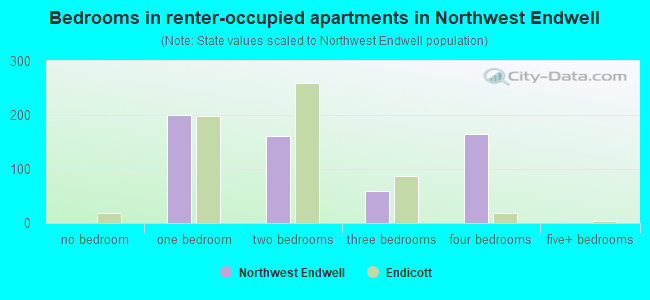 Bedrooms in renter-occupied apartments in Northwest Endwell