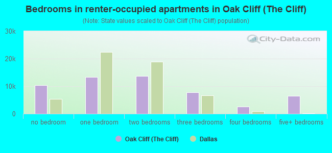 Bedrooms in renter-occupied apartments in Oak Cliff (The Cliff)