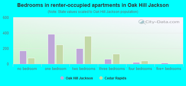 Bedrooms in renter-occupied apartments in Oak Hill Jackson