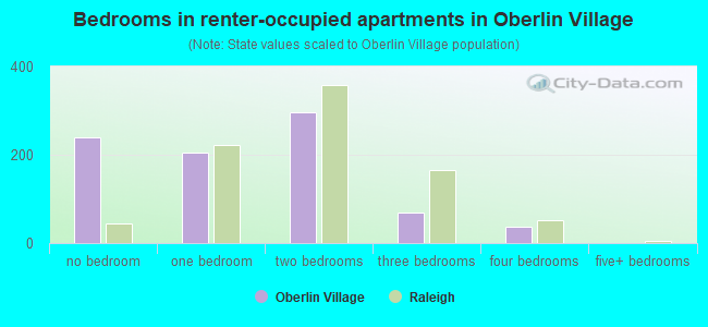 Bedrooms in renter-occupied apartments in Oberlin Village