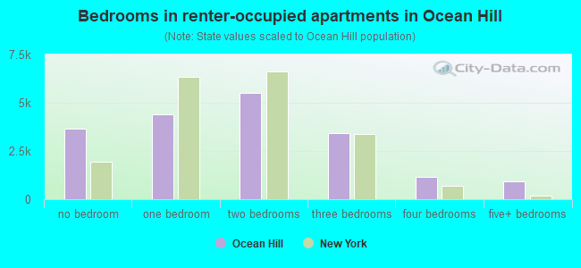 Bedrooms in renter-occupied apartments in Ocean Hill