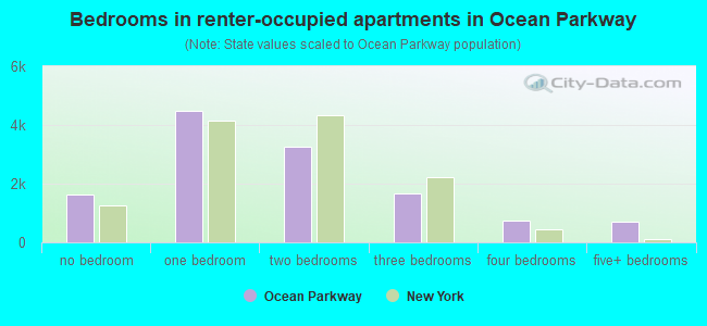 Bedrooms in renter-occupied apartments in Ocean Parkway