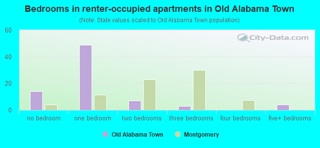 Bedrooms in renter-occupied apartments in Old Alabama Town