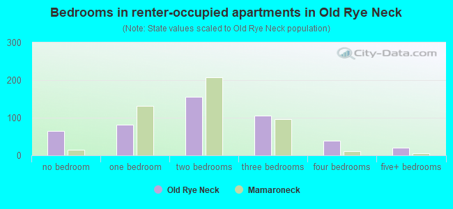 Bedrooms in renter-occupied apartments in Old Rye Neck