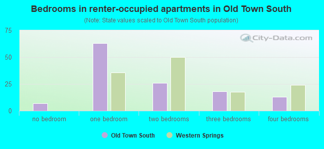 Bedrooms in renter-occupied apartments in Old Town South