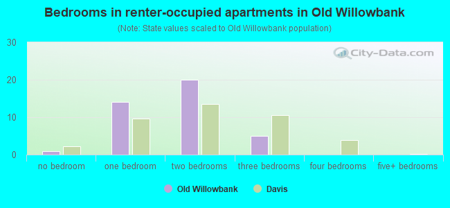 Bedrooms in renter-occupied apartments in Old Willowbank