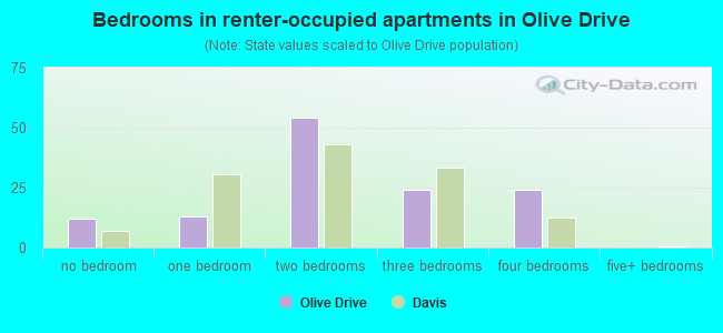 Bedrooms in renter-occupied apartments in Olive Drive