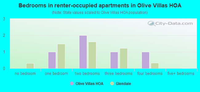 Bedrooms in renter-occupied apartments in Olive Villas HOA