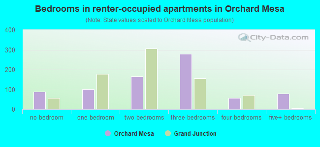 Bedrooms in renter-occupied apartments in Orchard Mesa