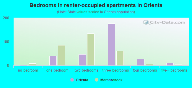 Bedrooms in renter-occupied apartments in Orienta