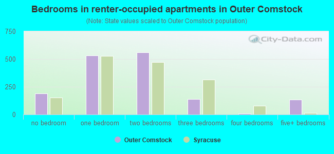 Bedrooms in renter-occupied apartments in Outer Comstock