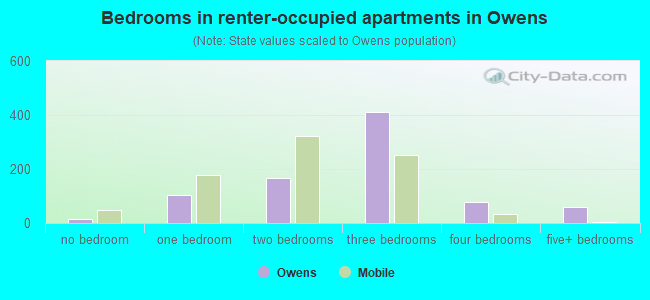 Bedrooms in renter-occupied apartments in Owens