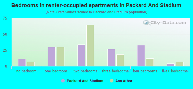 Bedrooms in renter-occupied apartments in Packard And Stadium