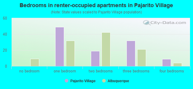 Bedrooms in renter-occupied apartments in Pajarito Village