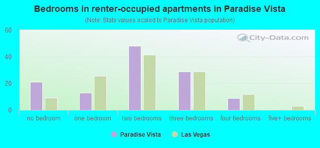 Bedrooms in renter-occupied apartments in Paradise Vista
