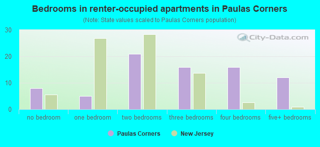 Bedrooms in renter-occupied apartments in Paulas Corners