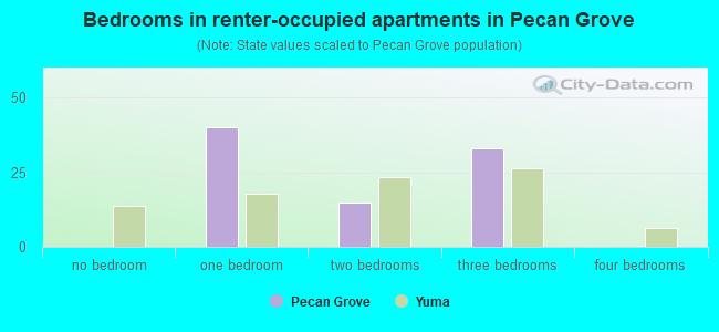 Bedrooms in renter-occupied apartments in Pecan Grove