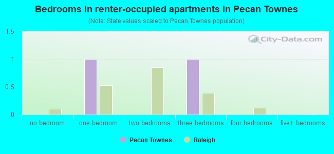 Bedrooms in renter-occupied apartments in Pecan Townes