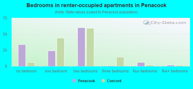 Bedrooms in renter-occupied apartments in Penacook