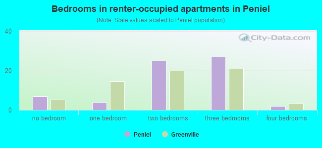 Bedrooms in renter-occupied apartments in Peniel