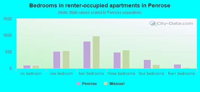 Bedrooms in renter-occupied apartments in Penrose
