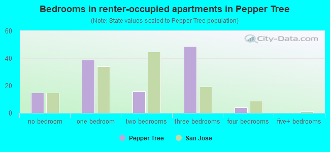 Bedrooms in renter-occupied apartments in Pepper Tree