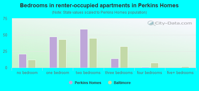 Bedrooms in renter-occupied apartments in Perkins Homes