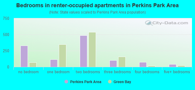 Bedrooms in renter-occupied apartments in Perkins Park Area