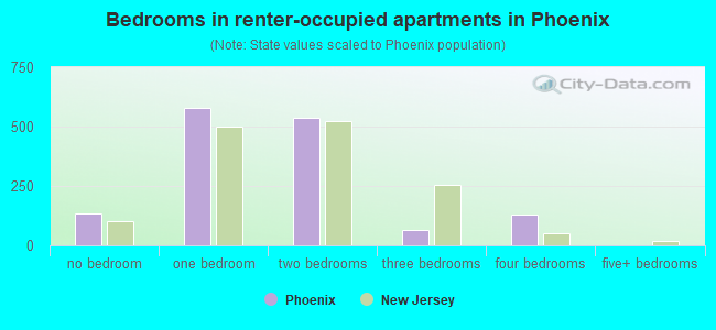 Bedrooms in renter-occupied apartments in Phoenix