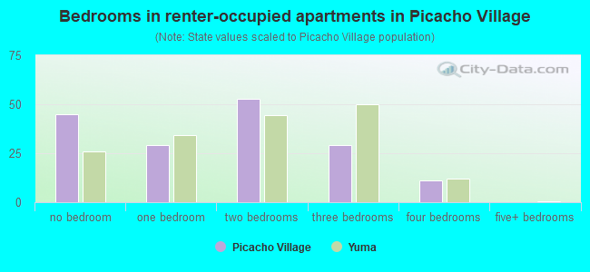 Bedrooms in renter-occupied apartments in Picacho Village