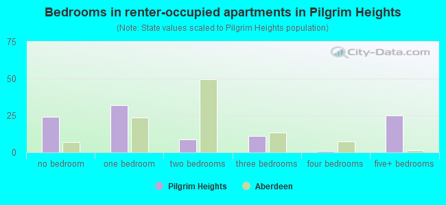 Bedrooms in renter-occupied apartments in Pilgrim Heights