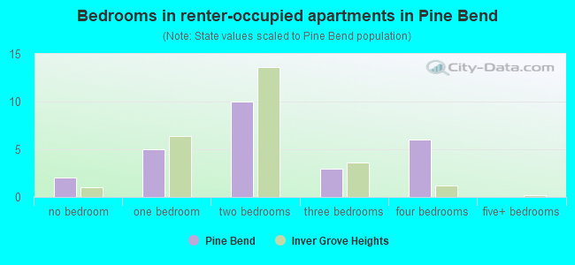 Bedrooms in renter-occupied apartments in Pine Bend
