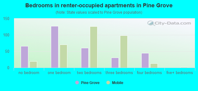 Bedrooms in renter-occupied apartments in Pine Grove