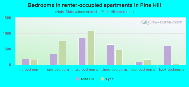 Bedrooms in renter-occupied apartments in Pine Hill