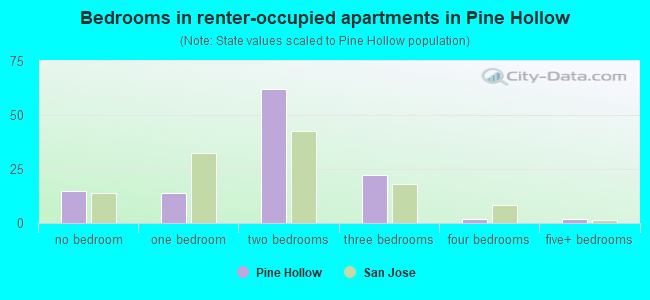 Bedrooms in renter-occupied apartments in Pine Hollow