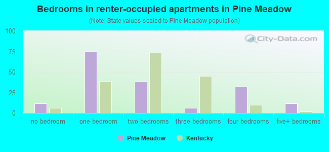 Bedrooms in renter-occupied apartments in Pine Meadow