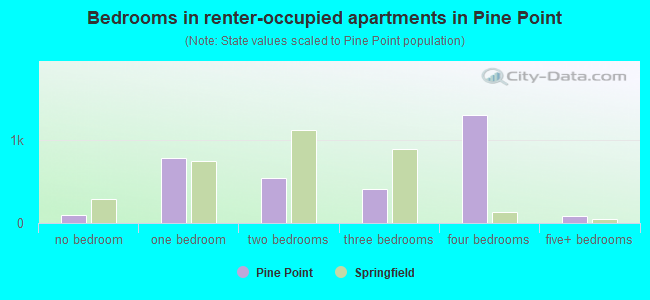 Bedrooms in renter-occupied apartments in Pine Point