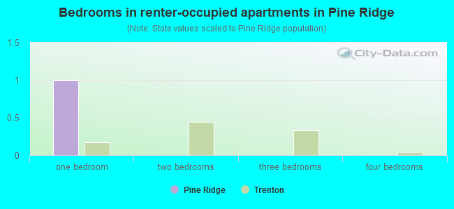 Bedrooms in renter-occupied apartments in Pine Ridge