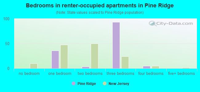 Bedrooms in renter-occupied apartments in Pine Ridge